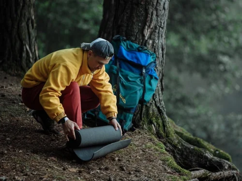 Rüyada Çalışanımla Arabaya Binmek