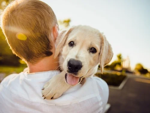Rüyada Çalışanımla Islanmak