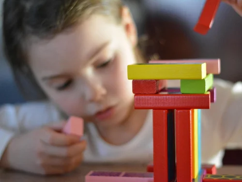 Rüyada Çam Ağacı Hediye Etmek