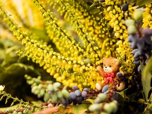 Rüyada Çantadan Kağıt Çıkarmak