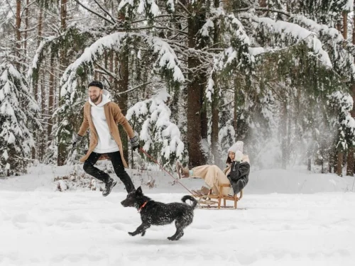 Rüyada Çantalar Taşımak