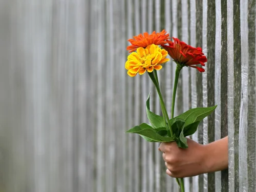 Rüyada Çekilişle Tatil Kazanmak