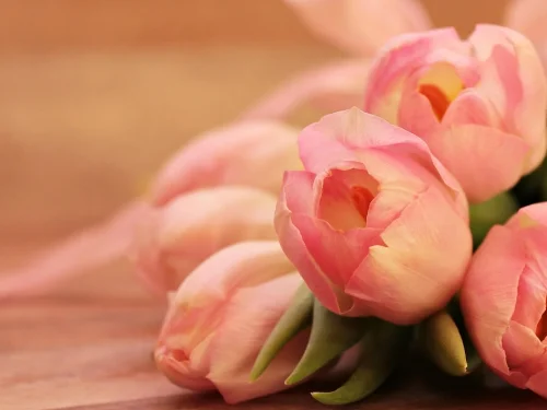 Rüyada Çeşmeden Şişeye Su Doldurmak