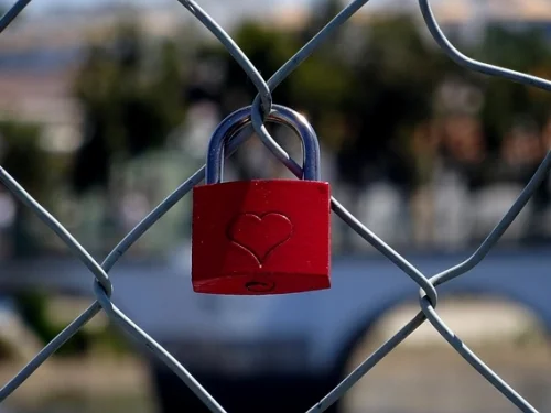 Rüyada Çiçek Tohumu İstemek