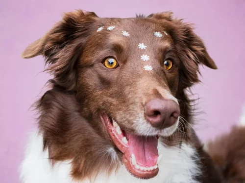 Rüyada Çocuğu Denize Atmak