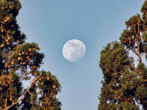 Rüyada Çocuğun Terini Silmek