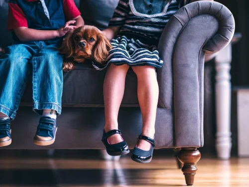 Rüyada Çocuk Aldırmak