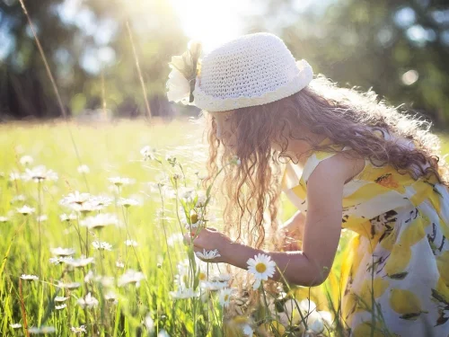 Rüyada Çok Güzel Çiçek Toplamak