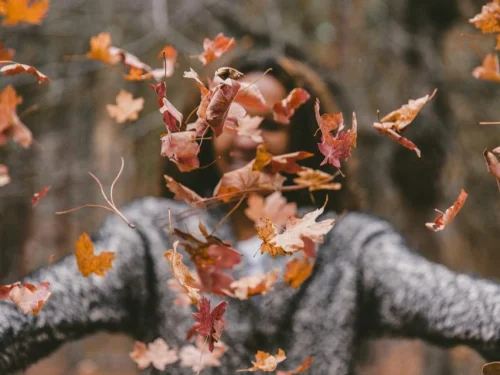 Rüyada Çöp Kamyonu Sürmek