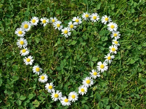 Rüyada Ölen Birinin Elinden Elma Yemek