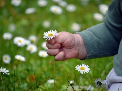 Rüyada Ölmüş Annesinin Mezarında Ağlamak