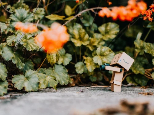 Rüyada Ölmüş Babaanneye Ekmek Vermek