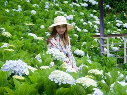 Rüyada Ölmüş Babadan Tekme Yemek