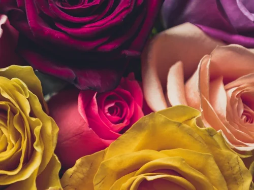 Rüyada Ölmüş Babamla Oturmak