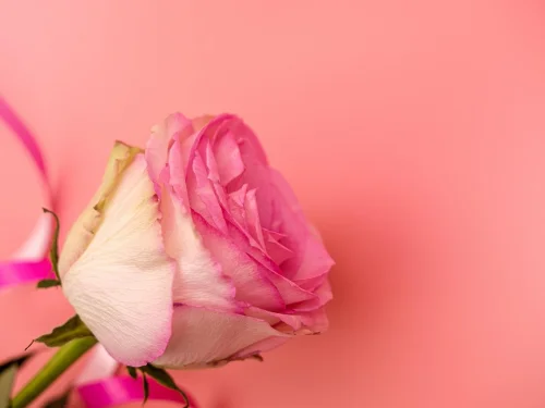 Rüyada Ölmüş Babayla Dolaşmak