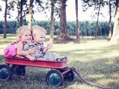 Rüyada Ölmüş Birinden Beyaz Gül Almak