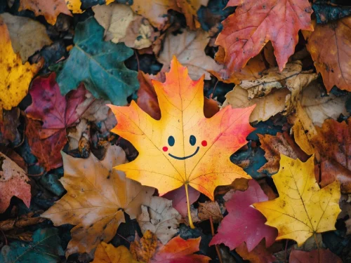 Rüyada Ölmüş Birinden Kazak Almak