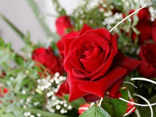 Rüyada Ölmüş Birine Havlu Vermek