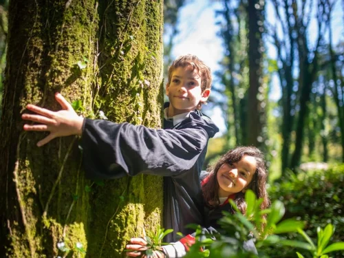 Rüyada Ölmüş Birinin Arabasını Sürmek