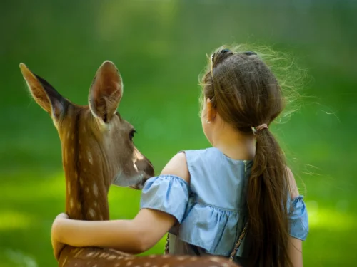 Rüyada Ölmüş Birinin Elini Dikmek