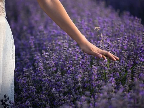 Rüyada Ölü Balık Bulmak