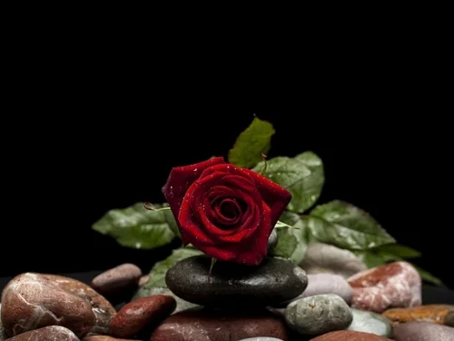 Rüyada Ölü İnsanın Fotoğrafını Çekmek