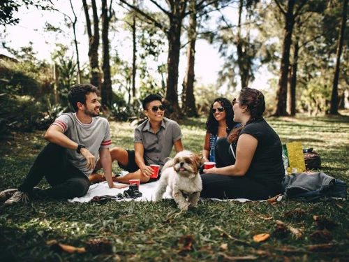 Rüyada Ölü İnsanla Konuşmak