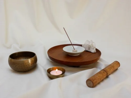 Rüyada Ölü Kuşu Diriltmek