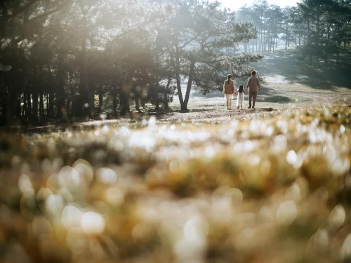 Rüyada Ölü Tarafından Bıçaklanmak