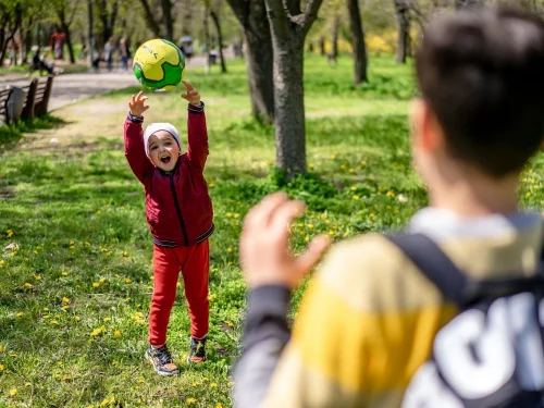 Rüyada Ölüden Tapu Almak