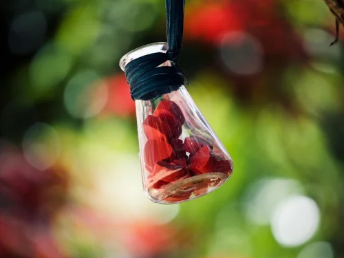 Rüyada Ölüye Portakal Vermek